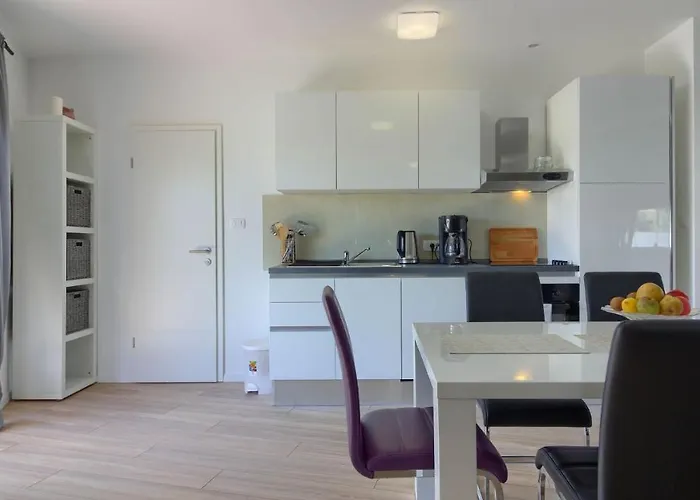 Villa White Memory Medulin