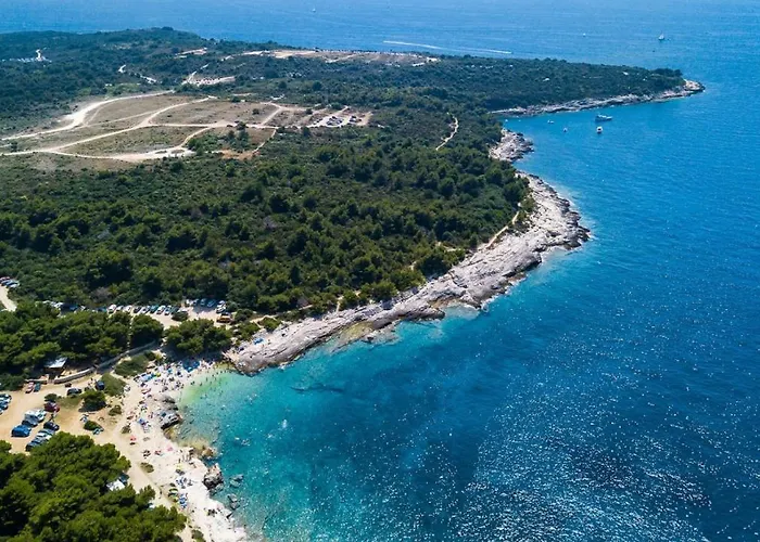 White Memory Medulin